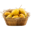 100% Premium Quality Garden Fresh Mango